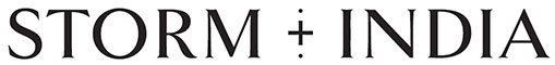 storm india logo